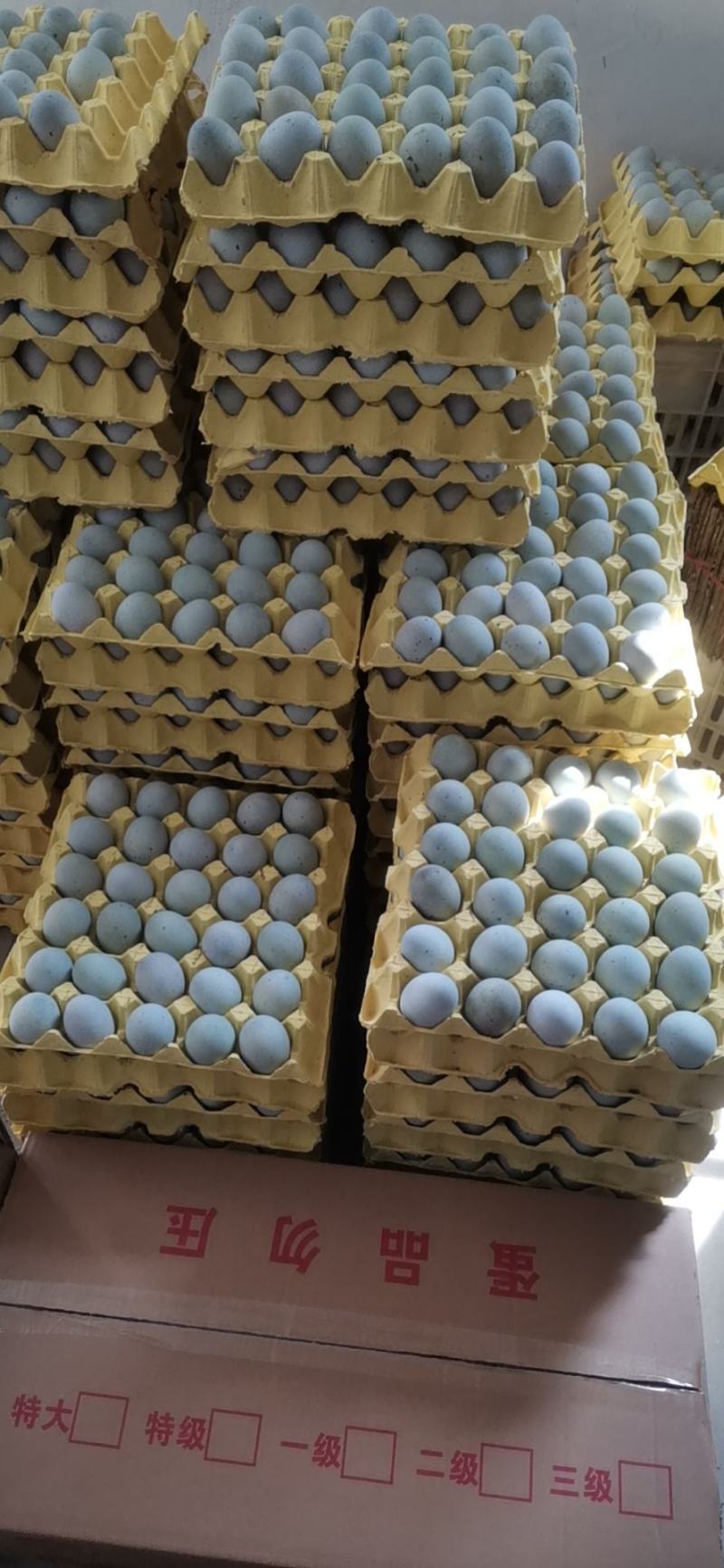 湖北特产无铅工艺松花蛋自产自销，品质优良欢迎甩单。