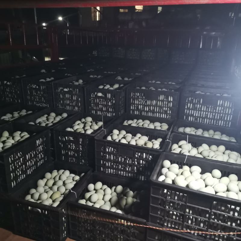 湖北潜江农家自产自销无铅松花皮蛋，味道鲜美，大量批发