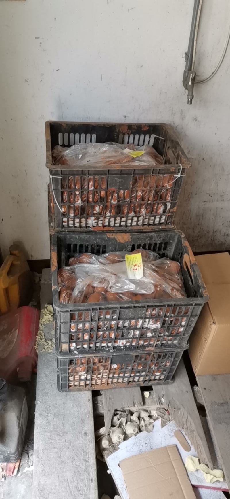 湖北潜江农家散养，自产自销，流油红心红泥咸蛋