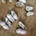 广东两颗粒白米花生，沙地鲜货，颗粒均匀饱满，精挑细选。
