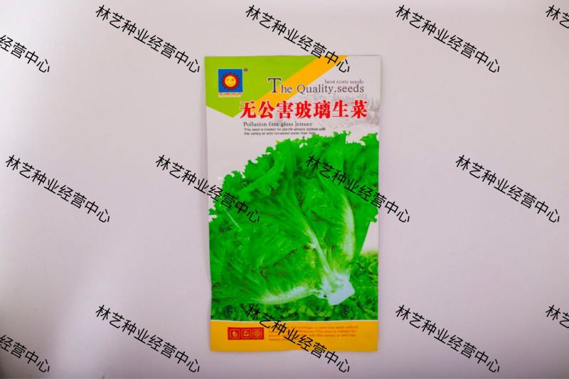 无公害玻璃生菜种子大全水培四季农家阳台盆栽结球蔬菜籽种孑