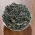 云南山茶