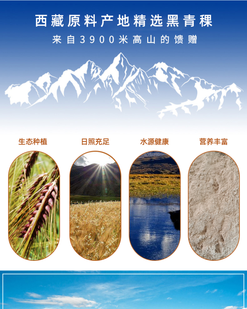西藏青稞原料/青稞粉/青稞植物基奶