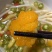 金耳菌