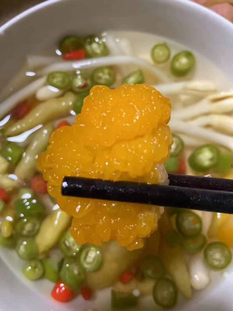 金耳菌