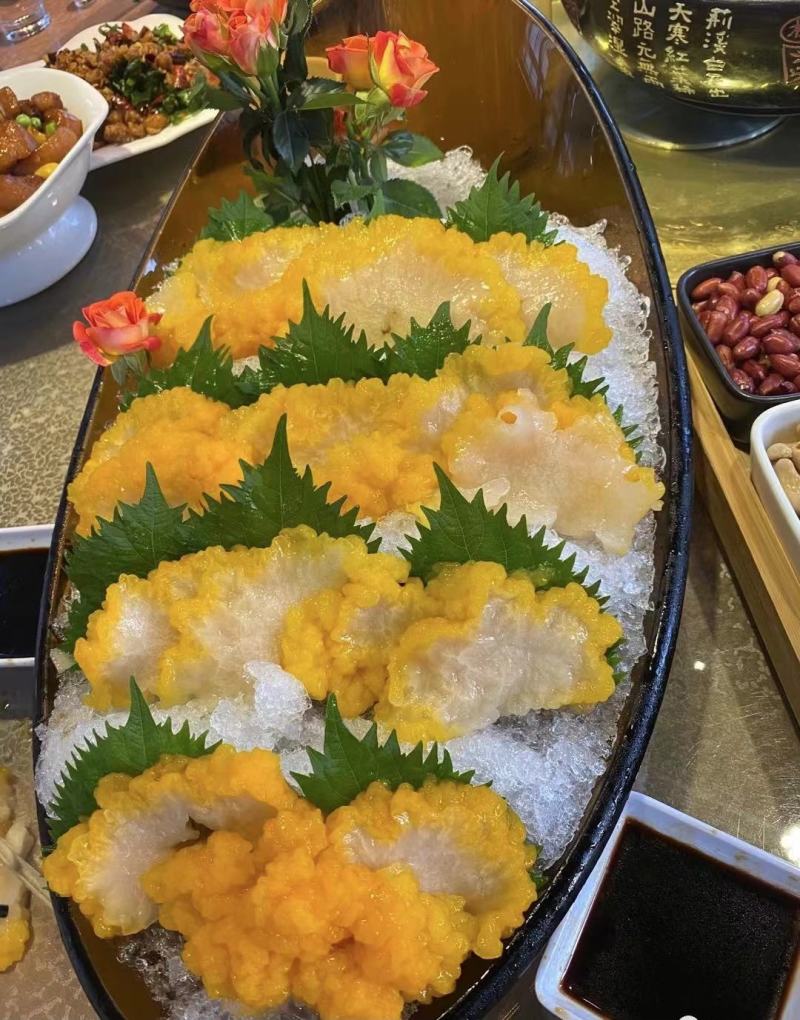 金耳菌