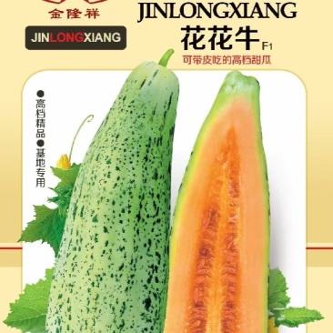 花将军甜瓜种子10克/袋脆酥甜