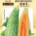 花将军甜瓜种子10克/袋脆酥甜