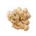 山东优质小黄姜，产地批发，一手货源，保证质量，全国发货