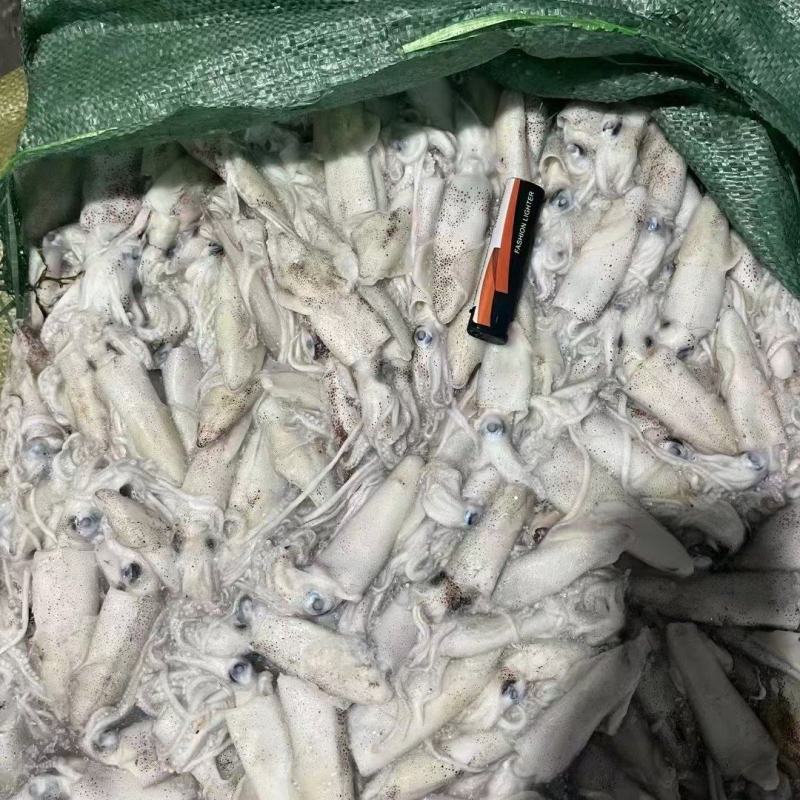 拖网船冻中大鱼增，大量有货，刚卸的货，时间不长