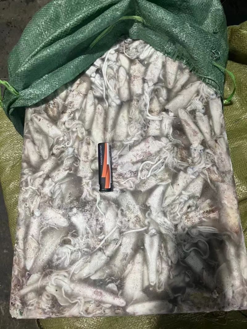 拖网船冻中大鱼增，大量有货，刚卸的货，时间不长