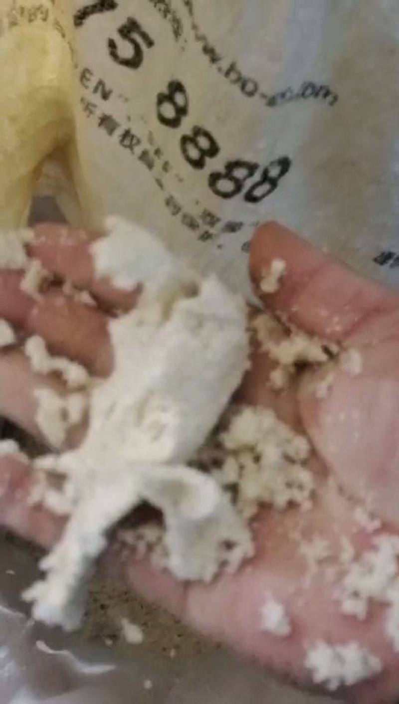 发酵豆腐渣，含丰富的蛋白质，营养价值高，厂家直销