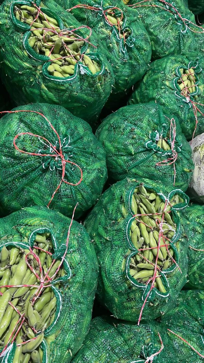 四川蚕豆大白胡豆二白胡豆货真价实大小车通接