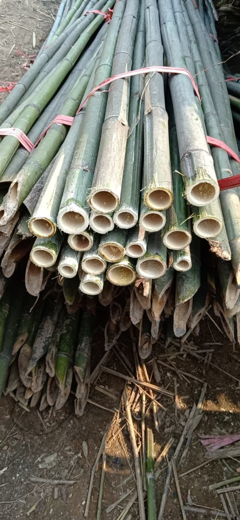 蔬菜竹杆菜架竹支撑杆豆角架黄瓜架冬瓜架西红柿架杆