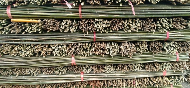 蔬菜竹杆菜架竹支撑杆豆角架黄瓜架冬瓜架西红柿架杆