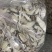 花菇切片