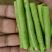 全能型豆角种子500克/桶两桶包邮