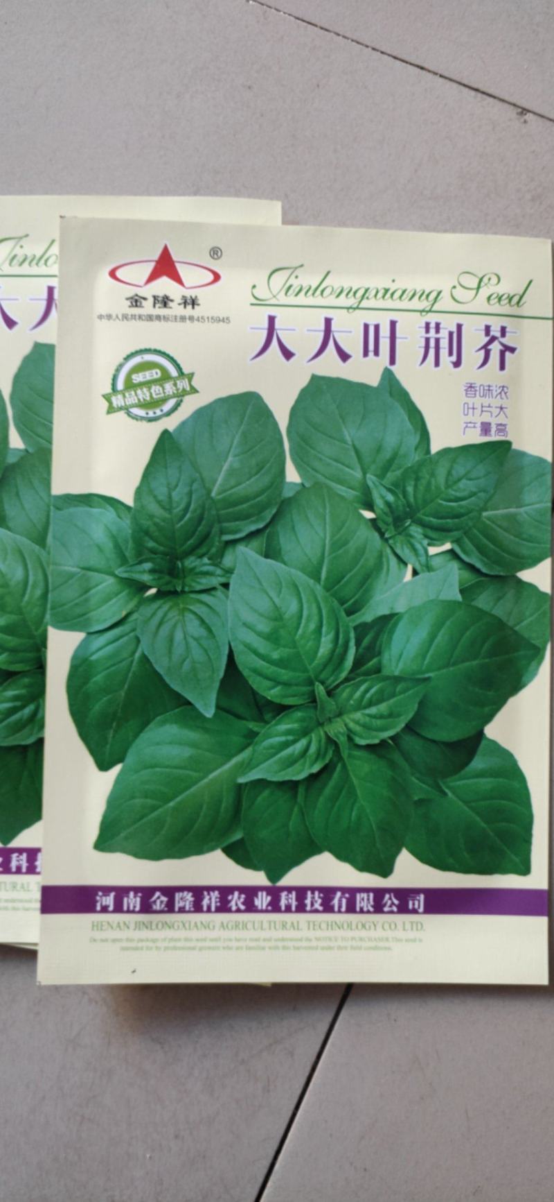 大叶荆芥种子200克/袋正宗自繁大叶荆芥包邮
