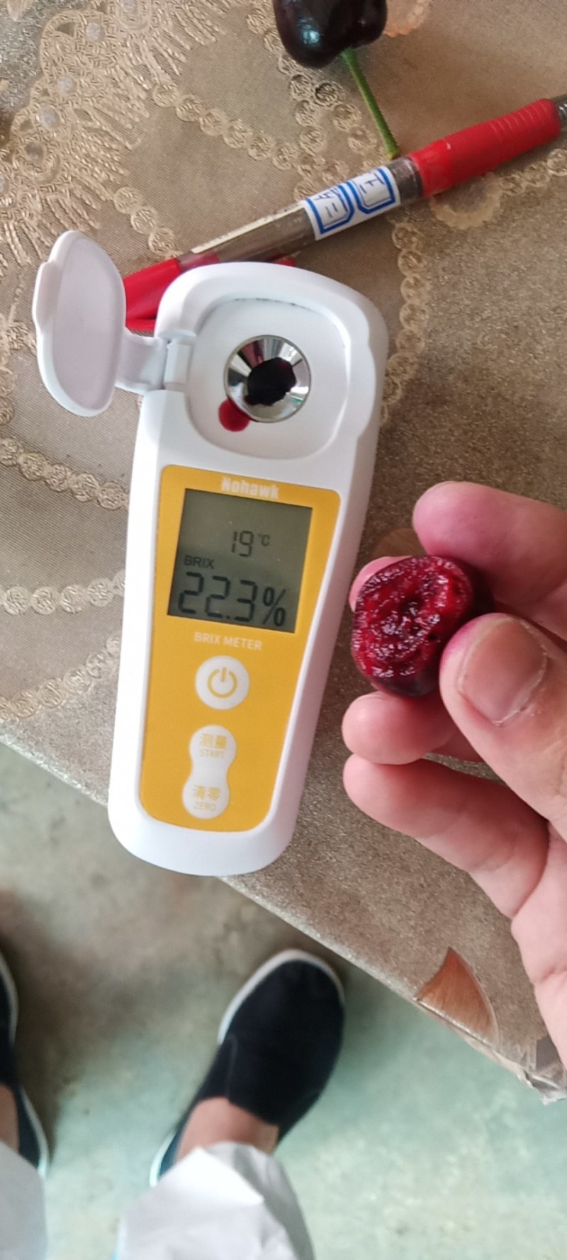 大连美早大樱桃