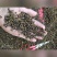贵州铜仁无硫带籽野生花椒干货土花椒枝叶少产地直发洗澡泡脚