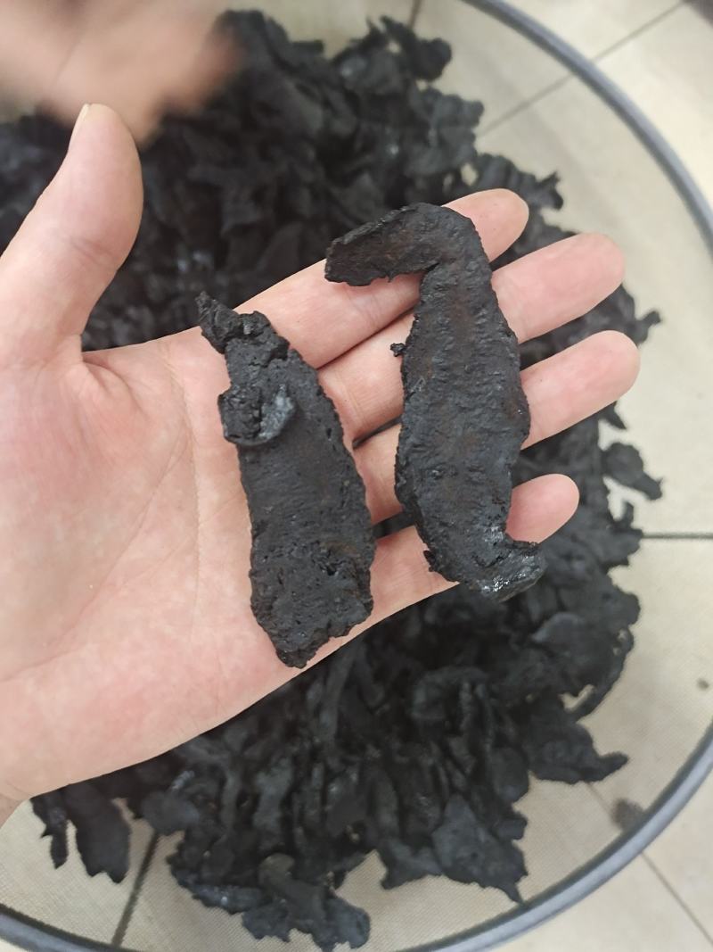 熟地熟地黄河南熟地常年加工可供大货量大从优