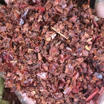 辣椒油渣经过油炸后剩余的辣椒渣含有各种营养成分，尤其富含