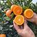 夏橙产地直销口感优美一手货源对接各大平台量大从优