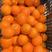 夏橙产地直销口感优美一手货源对接各大平台量大从优