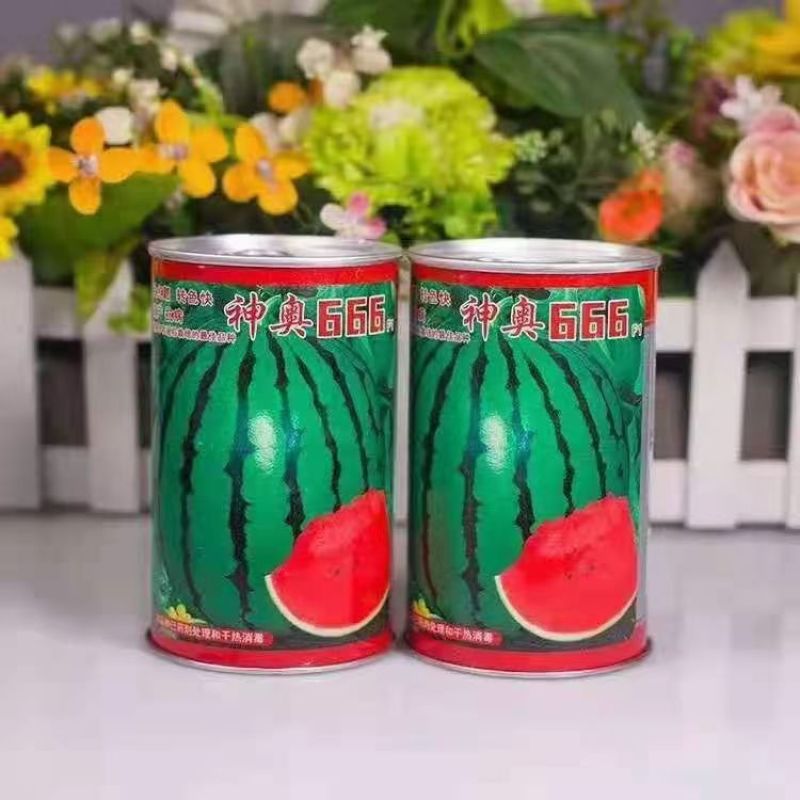 神奥666精品西瓜种子皮色绿瓤色红产量高皮薄坚韧耐储运