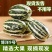 河北省沧州市青县博洋九号头茬温室现货发售