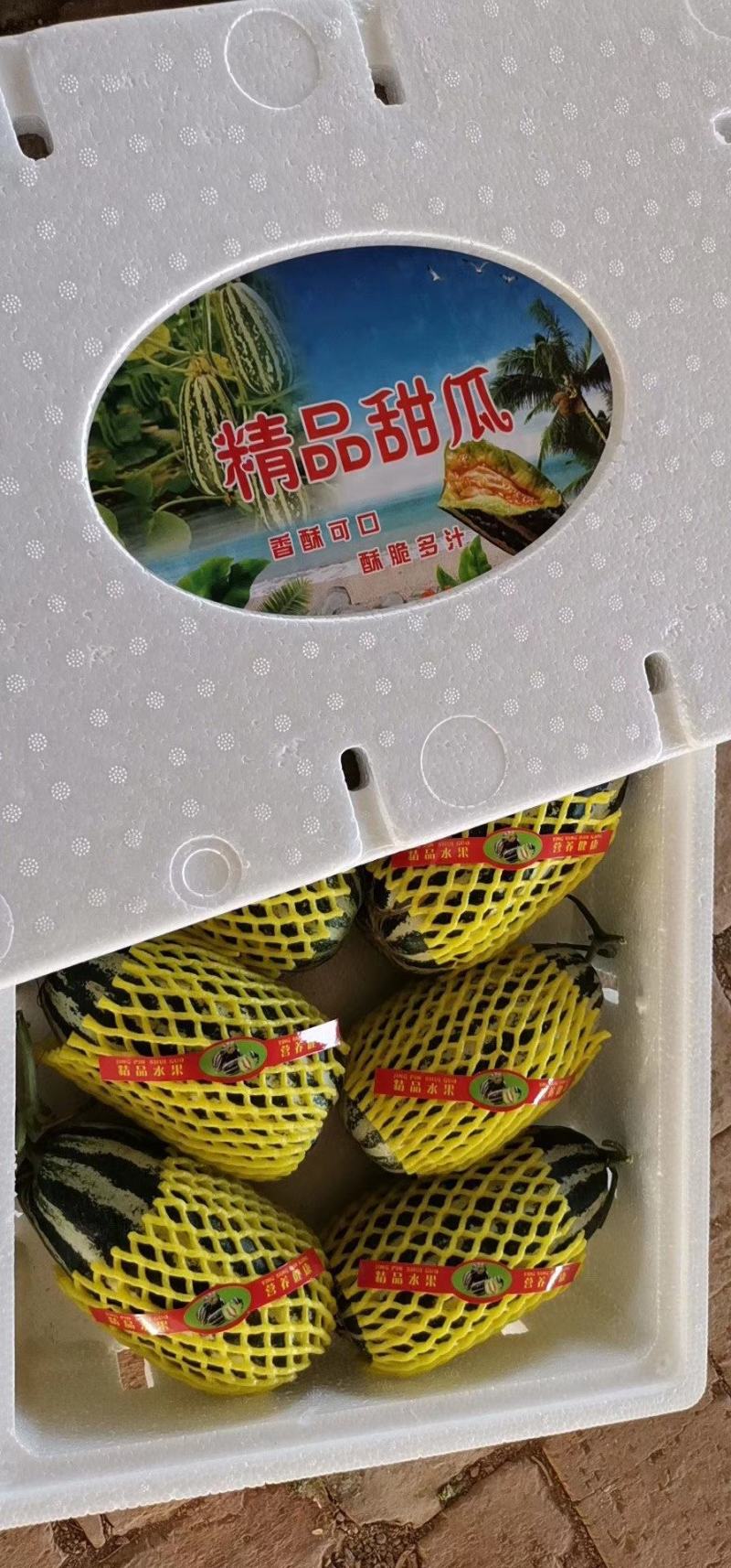 河北省沧州市青县博洋九号头茬温室现货发售