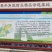 河北省沧州市青县博洋九号头茬温室现货发售