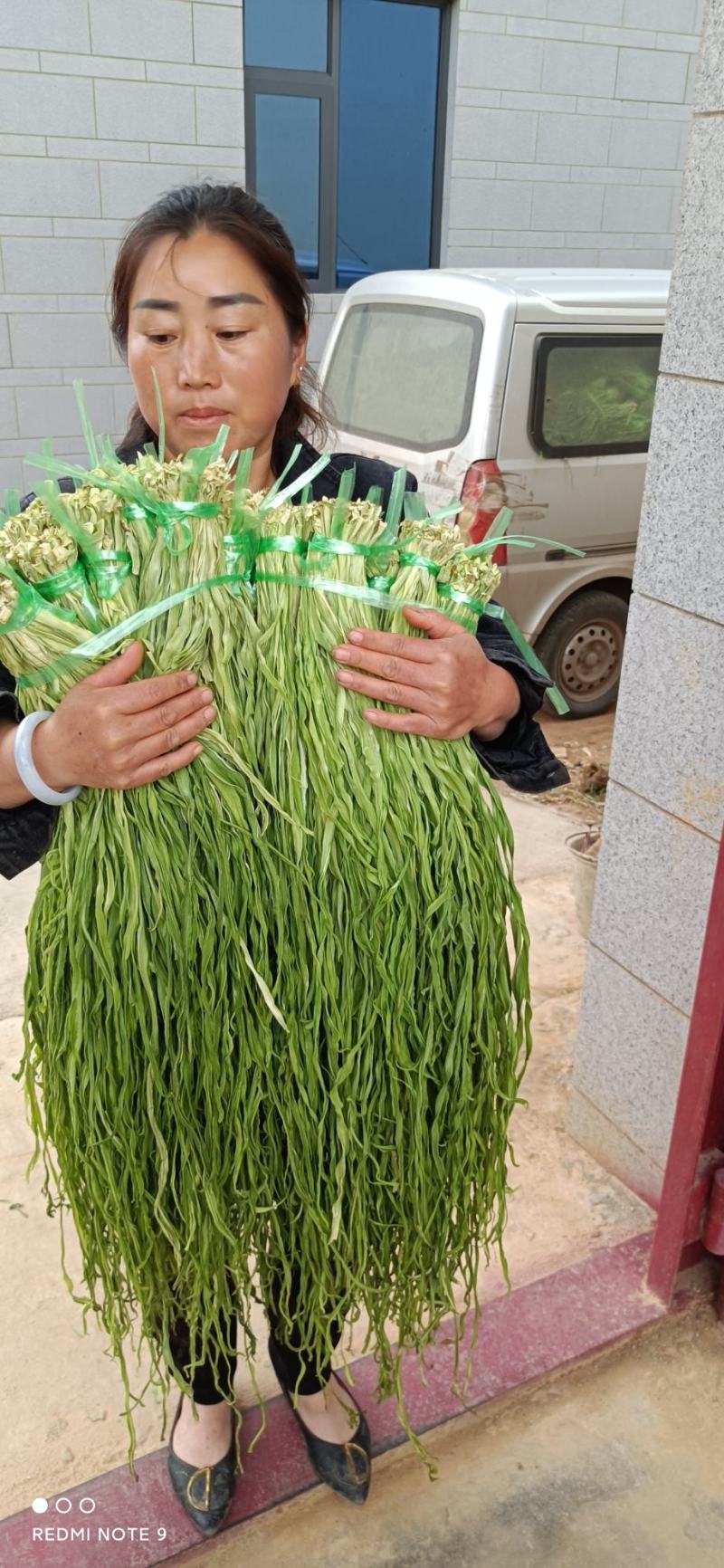 贡菜干贡菜云南贡菜笋干自产自销日产现货两百公斤
