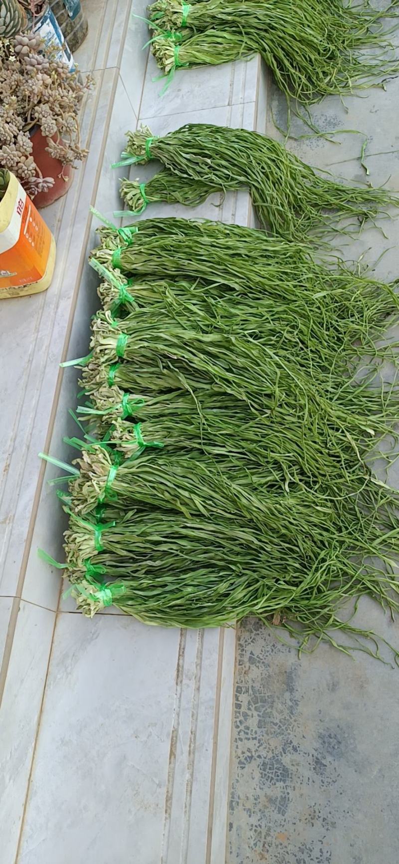 贡菜干贡菜云南贡菜笋干自产自销日产现货两百公斤