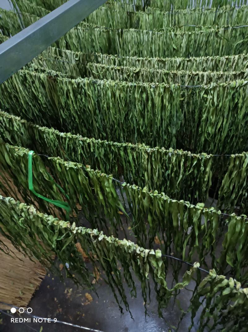 贡菜干贡菜云南贡菜笋干自产自销日产现货两百公斤
