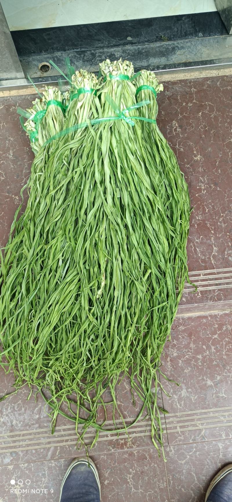 贡菜干贡菜云南贡菜笋干自产自销日产现货两百公斤