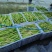 陕南深山安康富硒脆嫩竹笋真空包装锁住新鲜视频看货实地看货