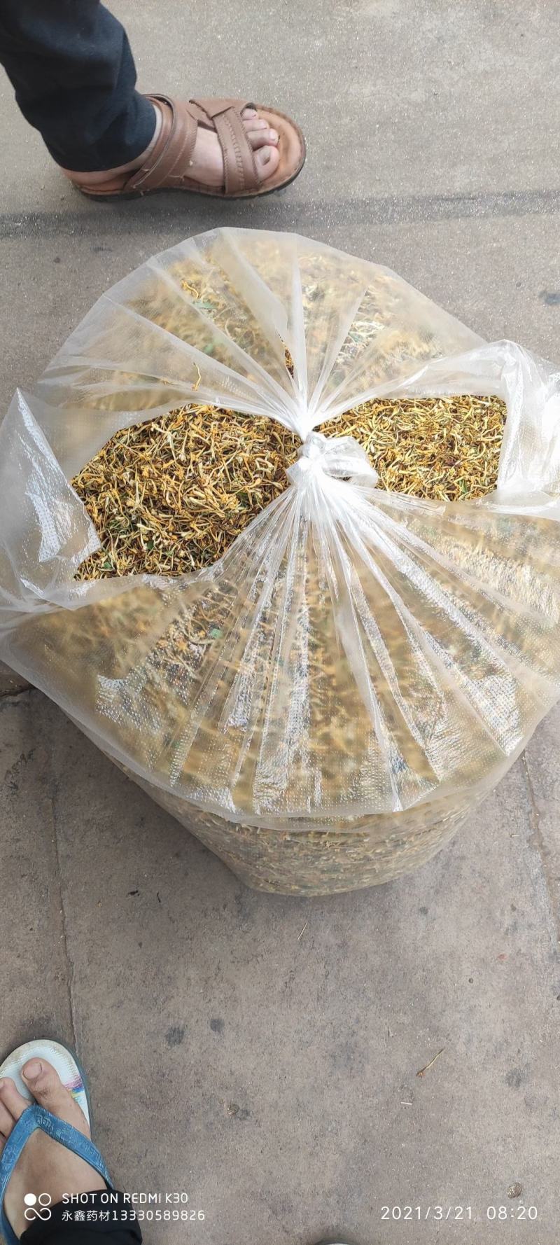 2025年新货上市云南金银花，