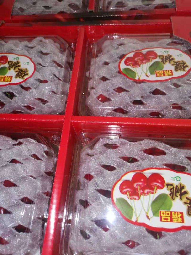 【樱桃】大荔大棚樱桃大量上市可视频看货品质保证