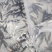 鸭嘴鱼苗鸭嘴鲟匙吻鲟鱼苗批发适应力强易养殖