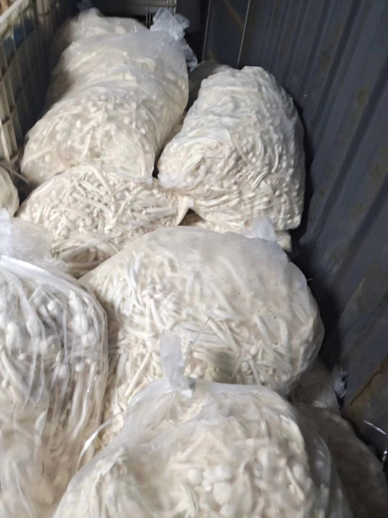 白玉菇。散装的。20斤一包加工厂电商专用货价格不高