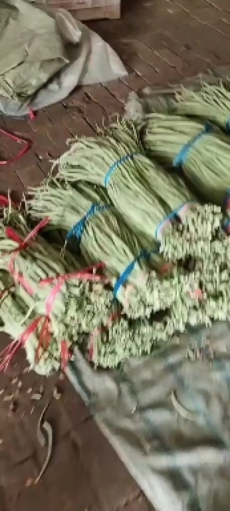 长豆角即将大量上市，长期有货，价格不贵，质量很好