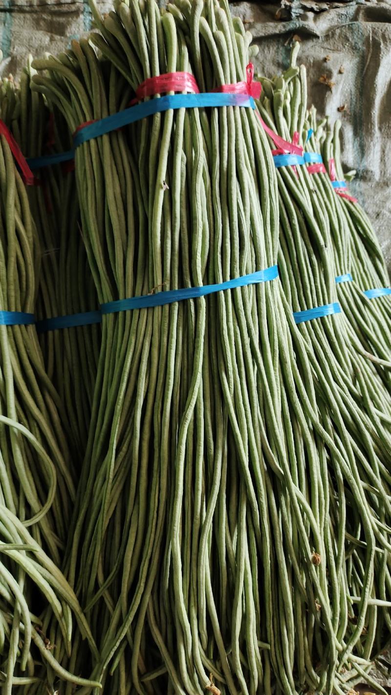 长豆角即将大量上市，长期有货，价格不贵，质量很好