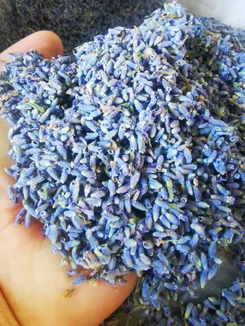 新疆伊犁薰衣草干花粒，特级到特三级欢迎下单
