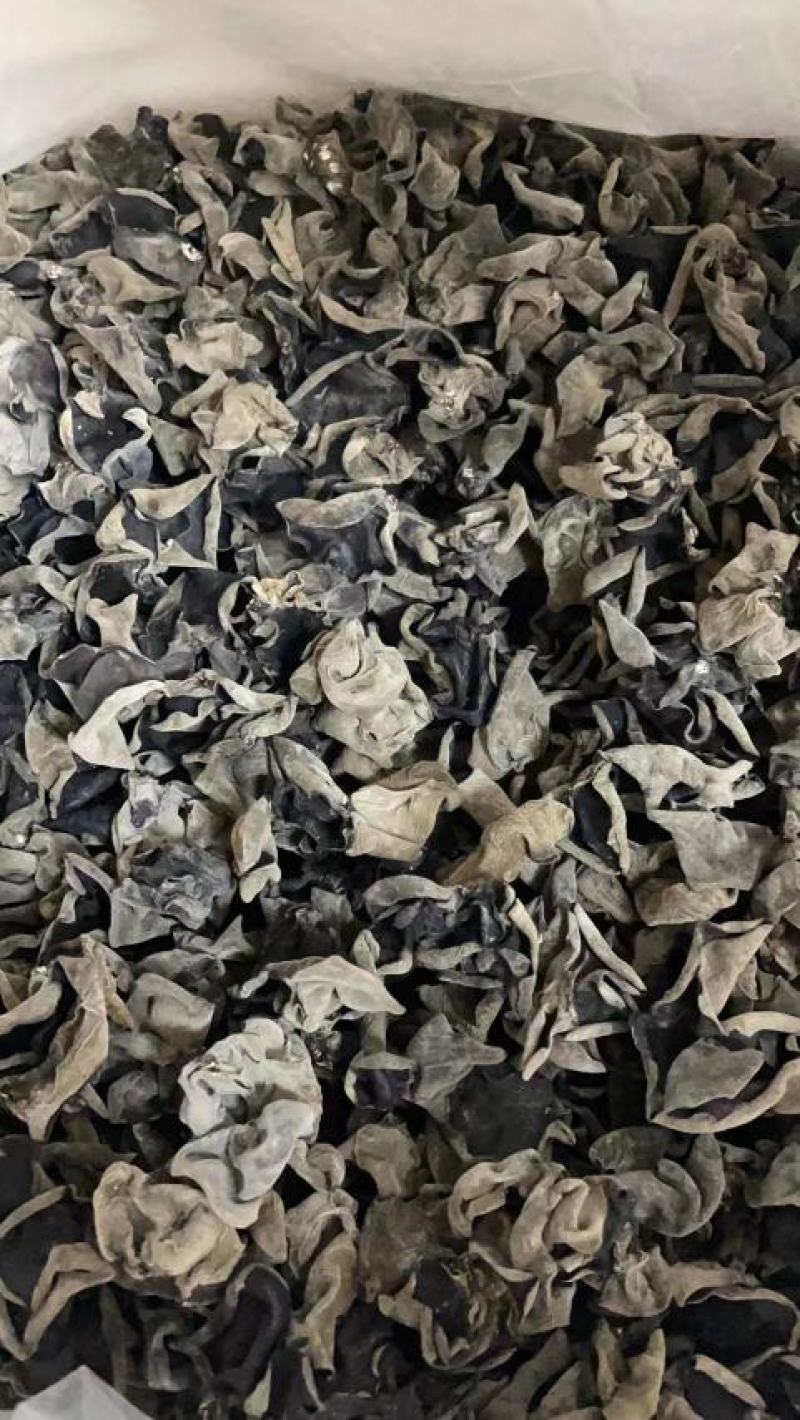 黑木耳木耳东北黑木耳品质好产地直发全国包邮！