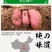 正宗陕西富平太平村农家红薯粉条三斤五斤装支持电商一件代发