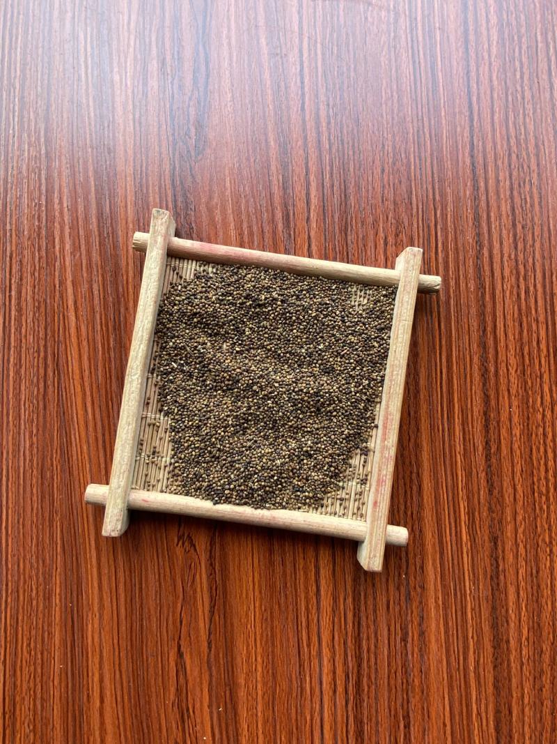 菟丝子500克中药材批发菟丝子产地内蒙批发各种规