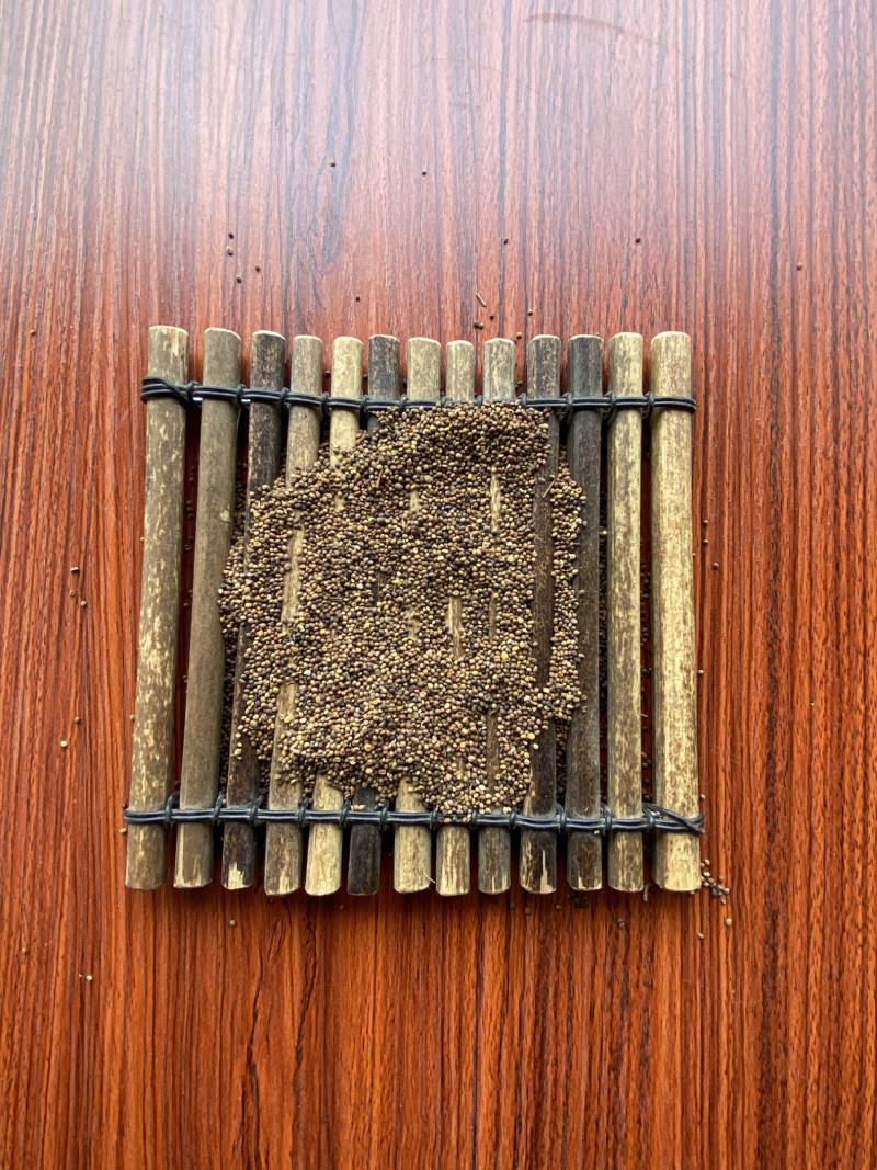 菟丝子500克中药材批发菟丝子产地内蒙批发各种规
