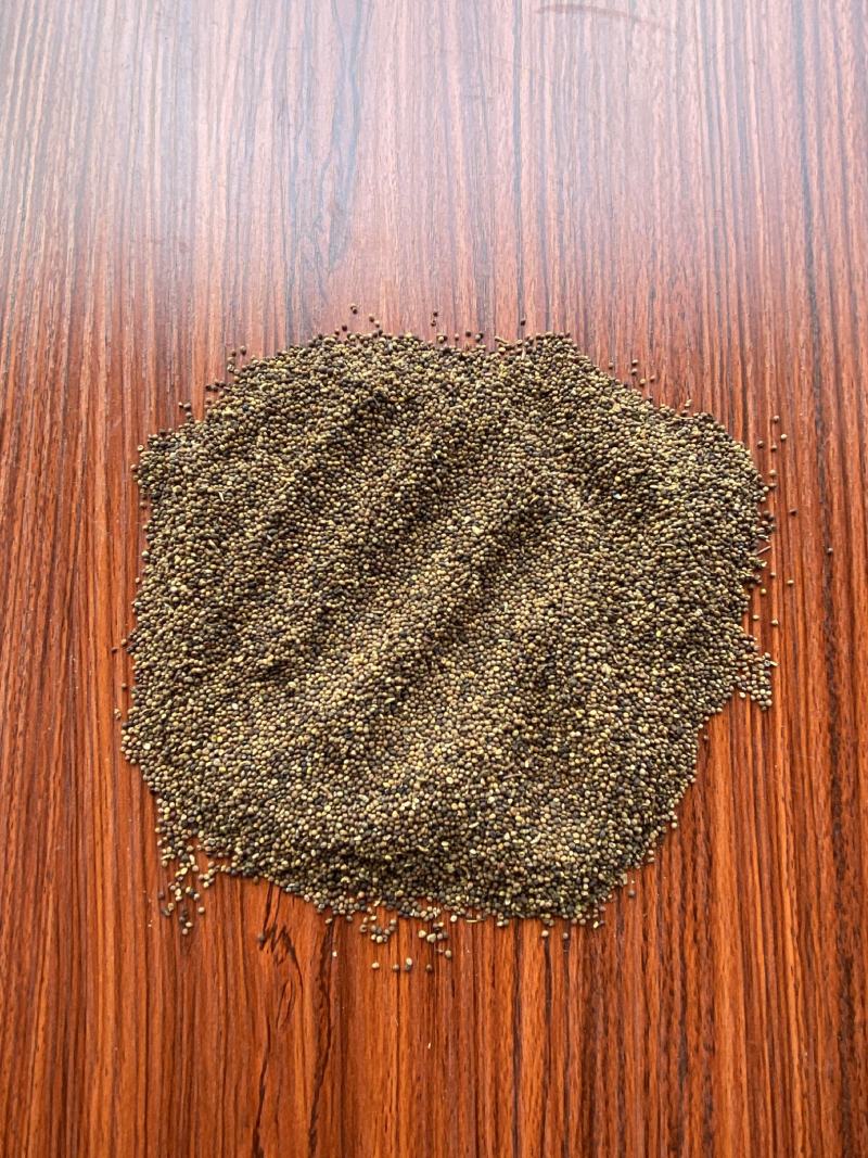 菟丝子500克中药材批发菟丝子产地内蒙批发各种规