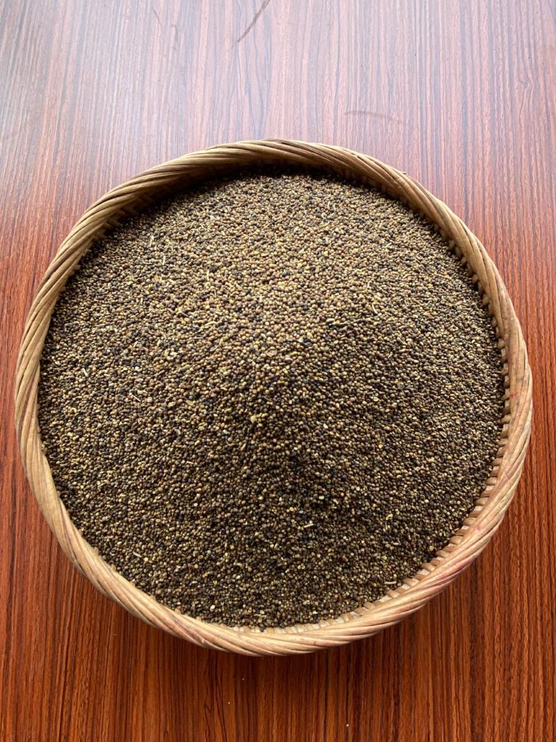菟丝子500克中药材批发菟丝子产地内蒙批发各种规